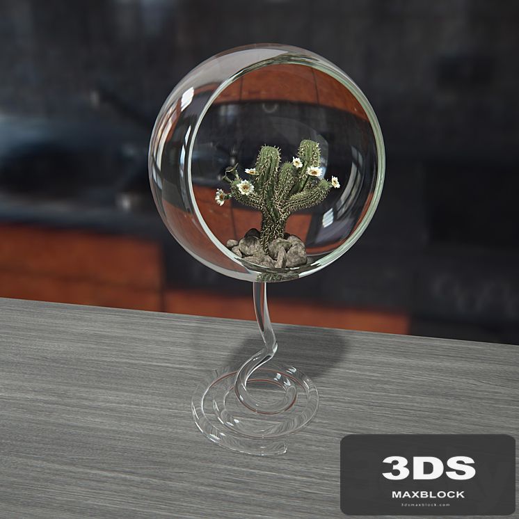 Cactus in eco vase