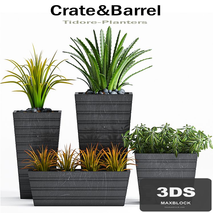 PLANT -22
