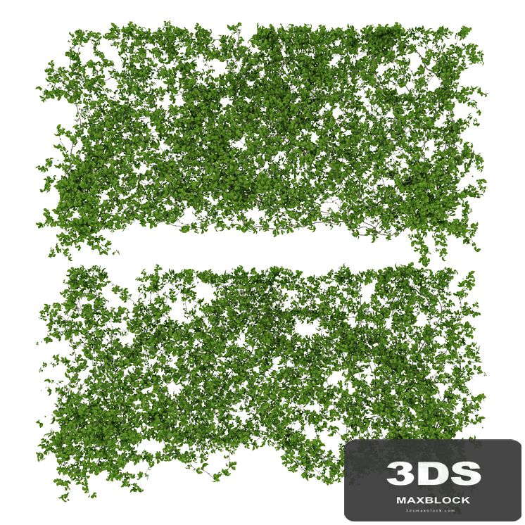 Wall of leaves