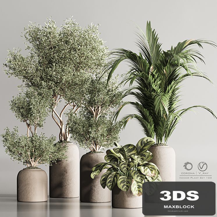 Indoor Plant Set 103