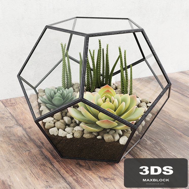 Florarium