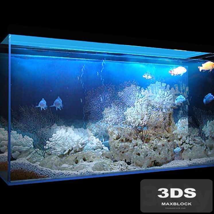 Aquarium