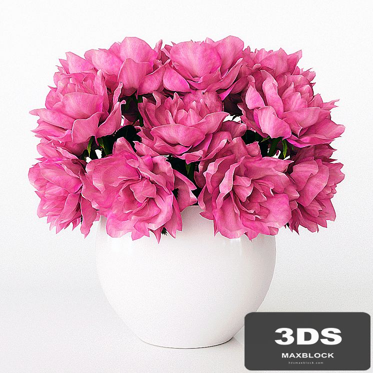 Bouquet of roses