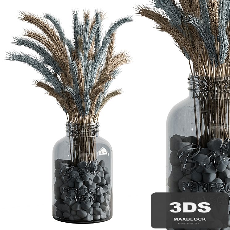 Dry plants 101 - Wheat