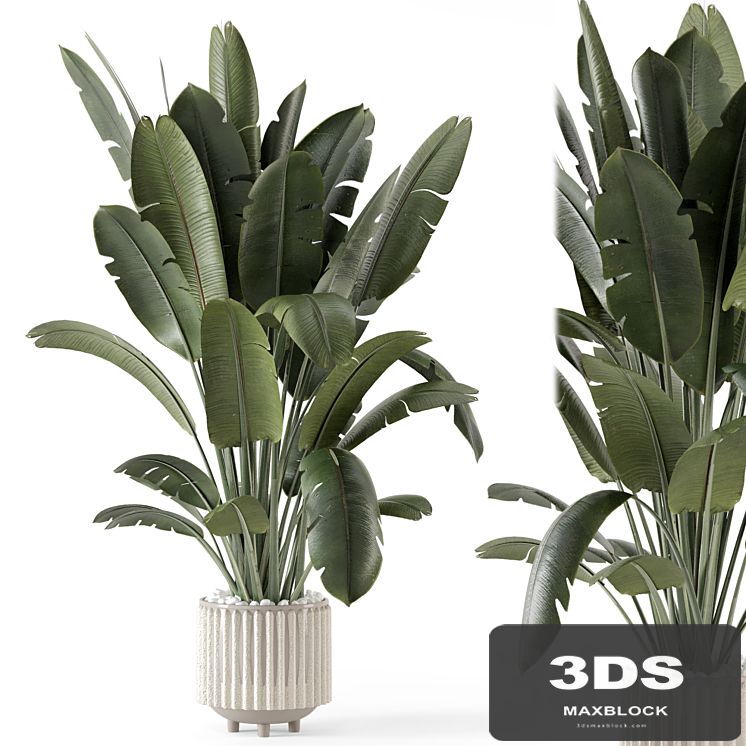 Indoor Plants in Ferm Living Bau Pot Large - Set 1448