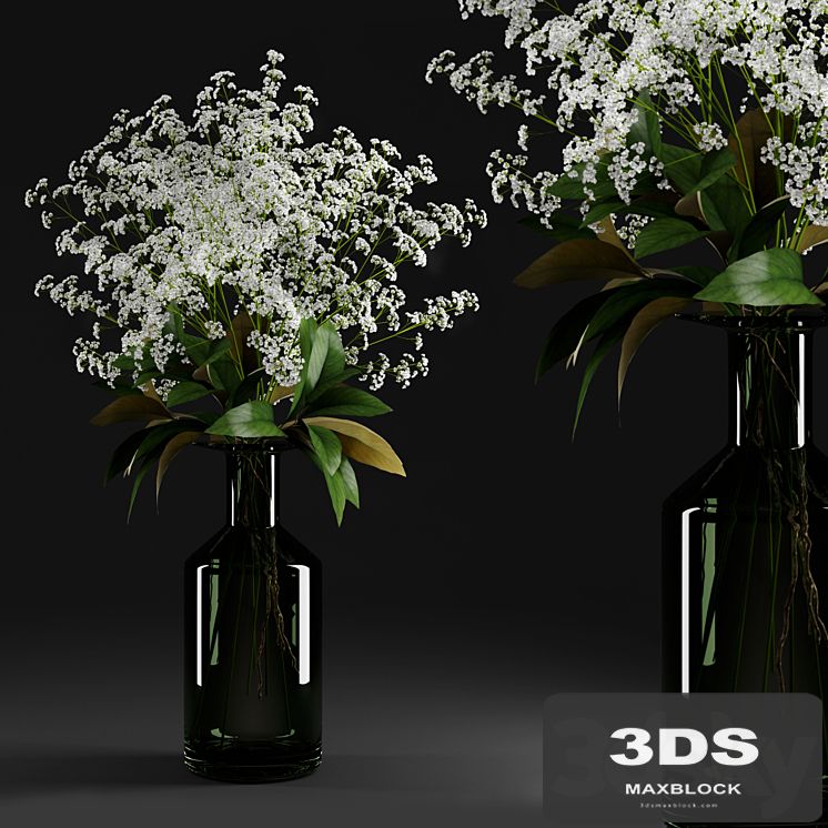 Gypsophila and magnolia leaves in bottle