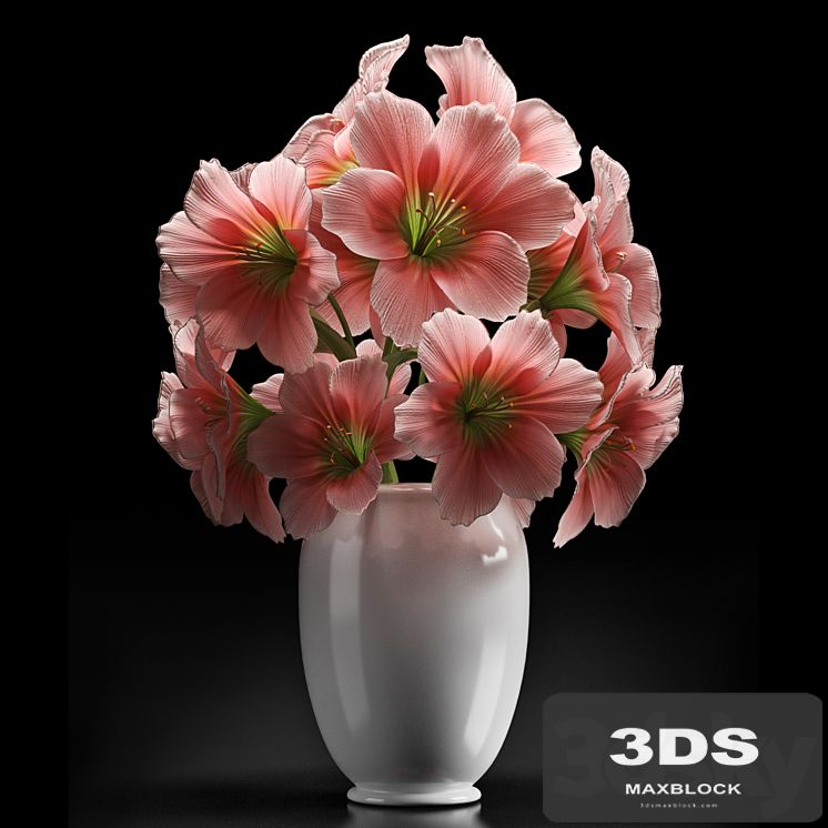 PINK AMARYLLIS