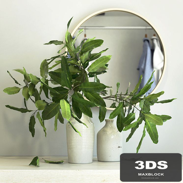 branches in a vase