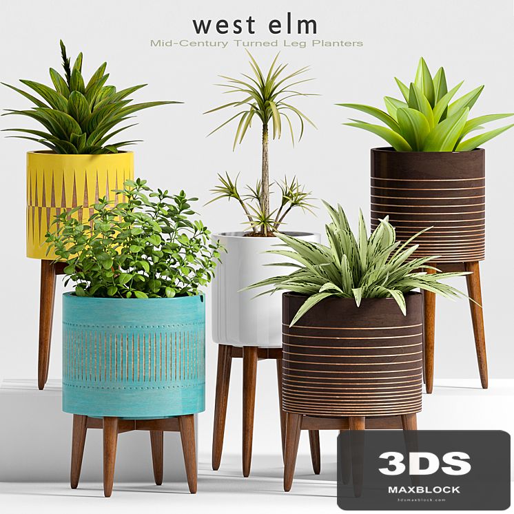 Plant Set -24