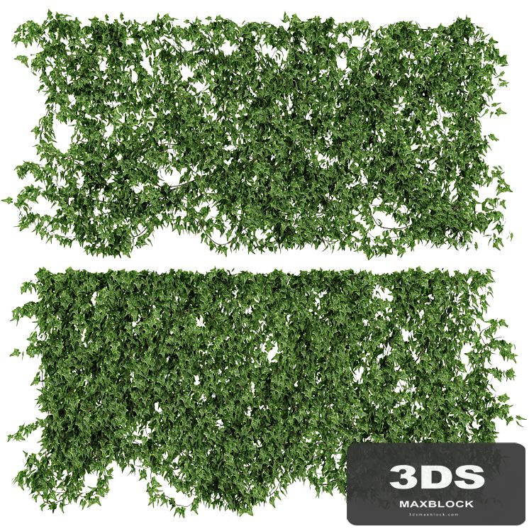 Wall of ivy leaves v2