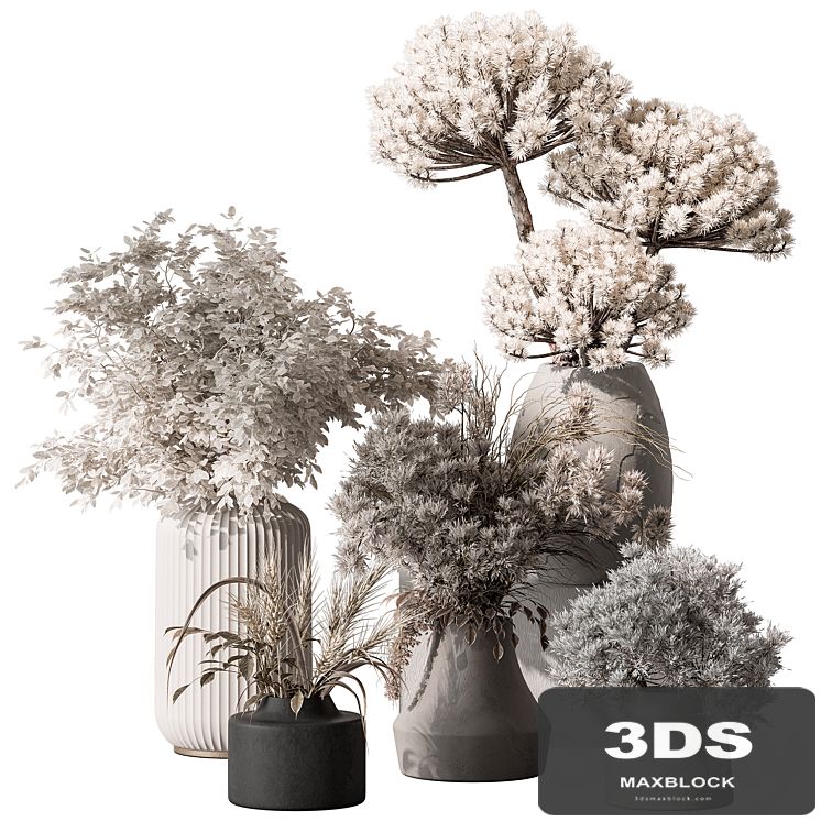 Bouquet - Dried Plant Set 105