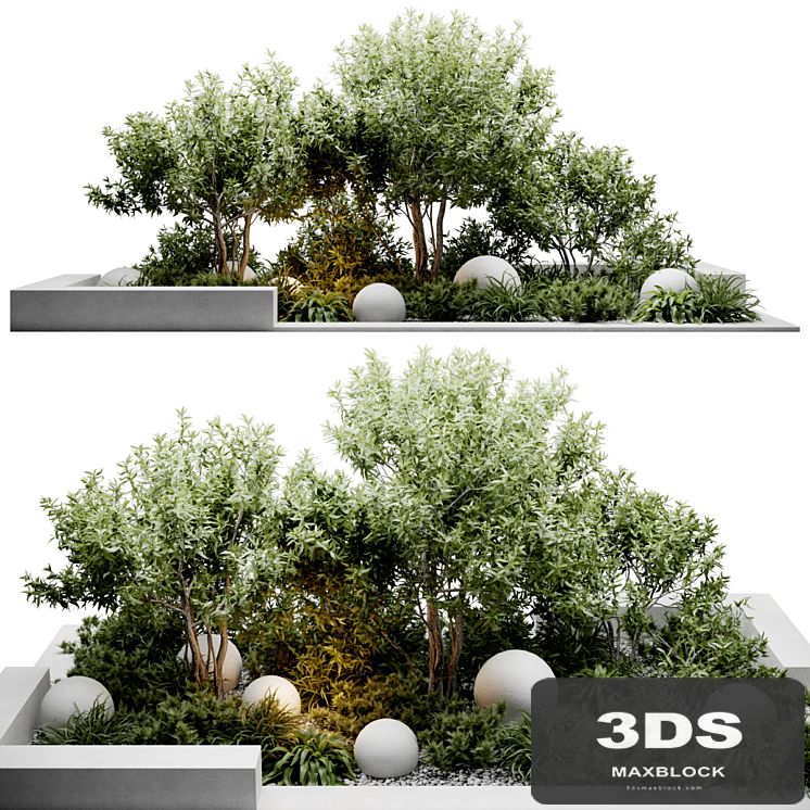 outdoor plants