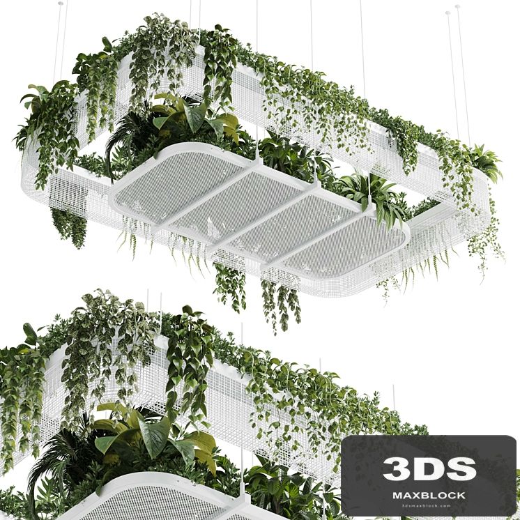 Hanging plants - indoor plant 323 vray