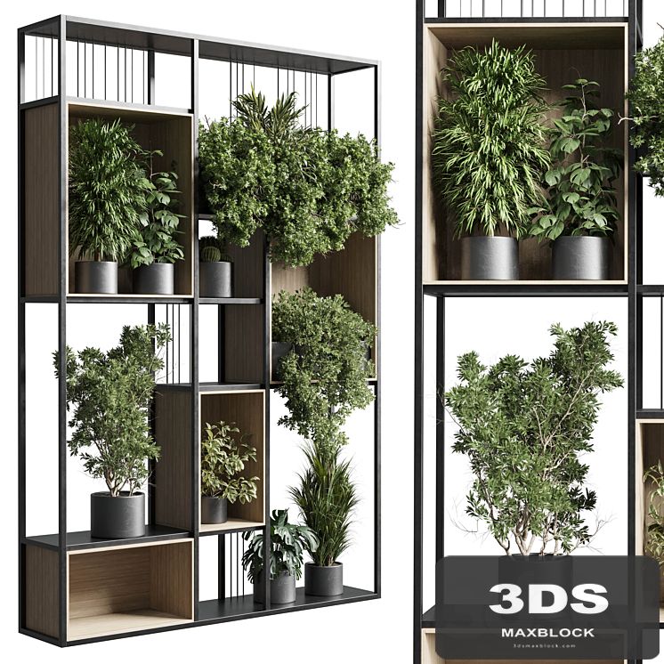 Standing metal shelf with a set 384 of plants in metal boxes corona