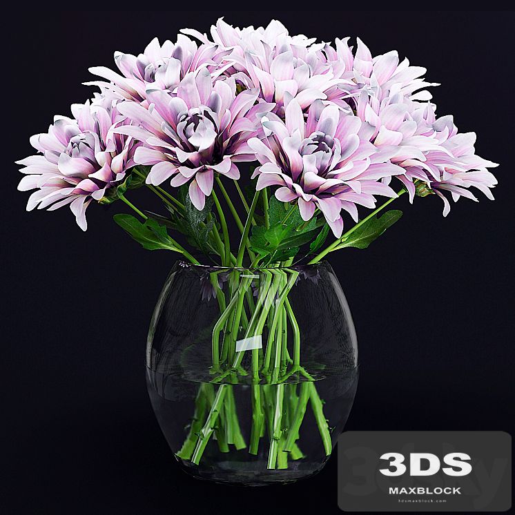 Chrysanthemums