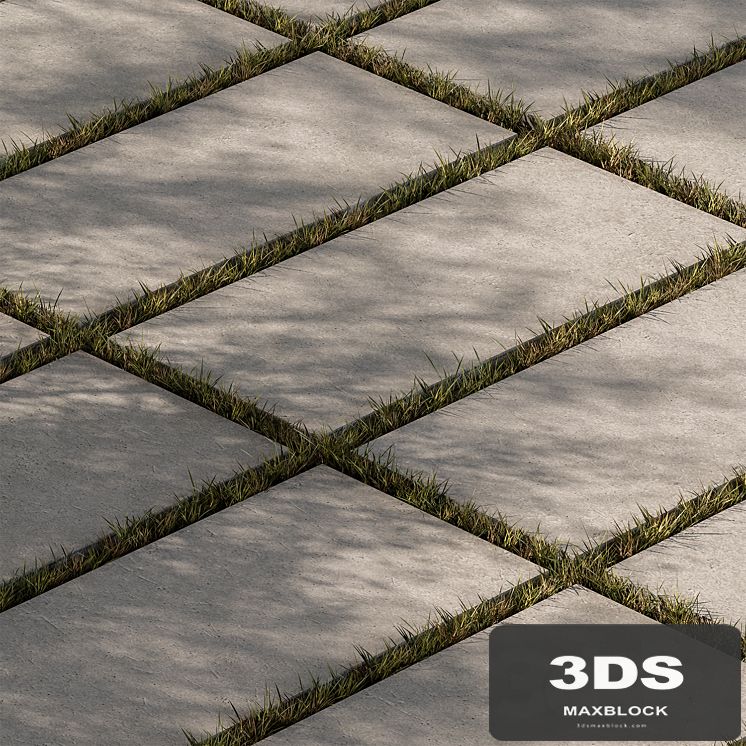 Concrete Slab with Grass - Paving 03