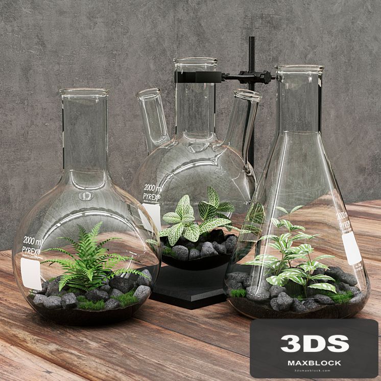 Florariumy flasks