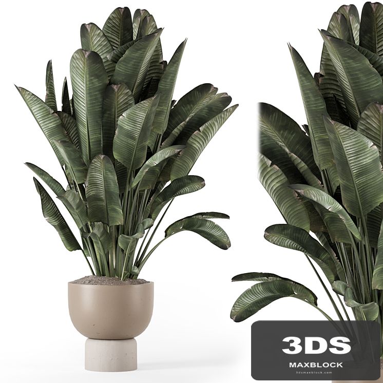 Indoor Plants in Ferm Living Bau Pot Large - Set 1507