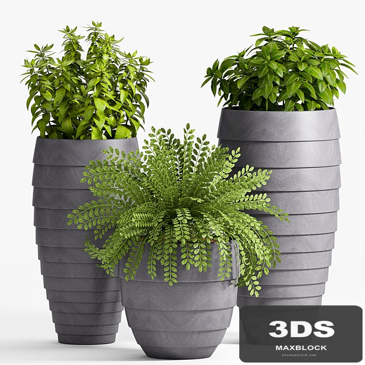 Plant Set -25
