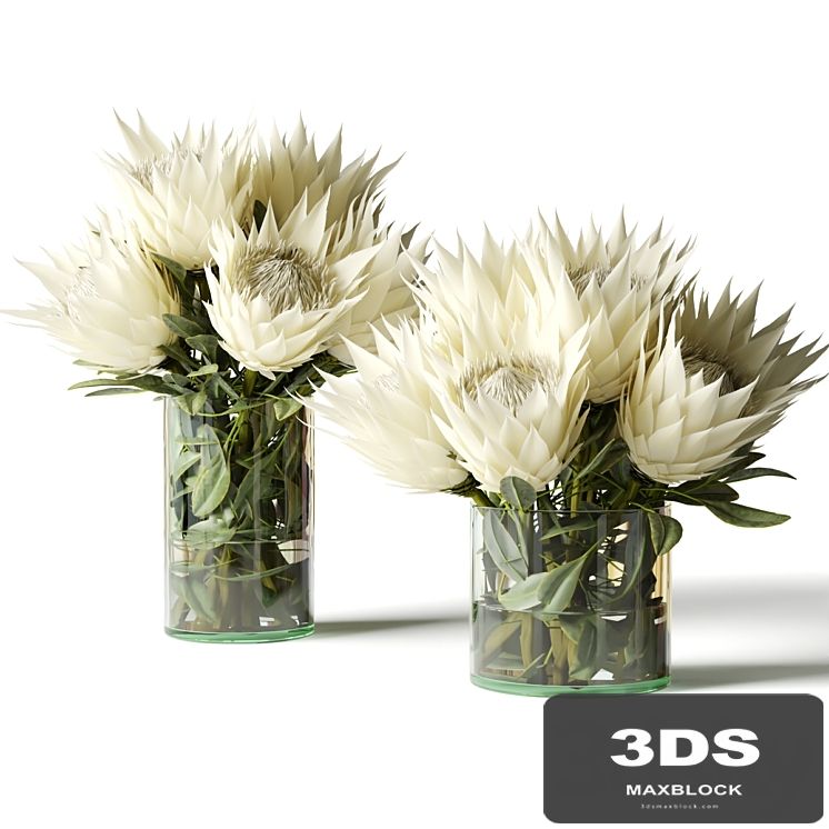 Flower Set white proteas