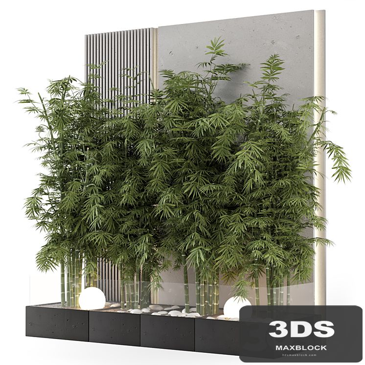 Indoor Wall Bamboo Garden in Concrete Base - Set 1529