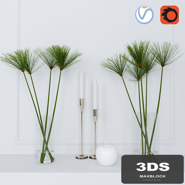 shoots of papyrus in a glass vase