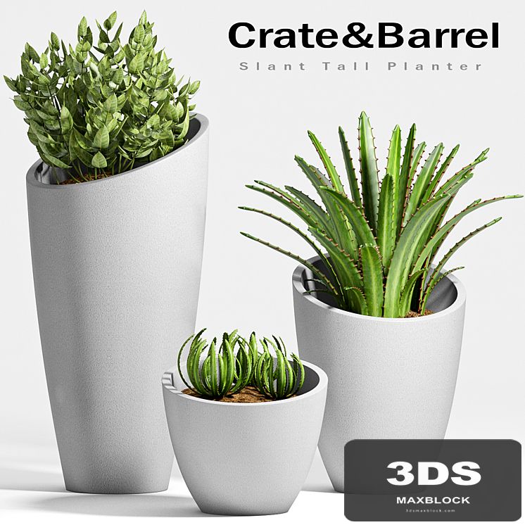 PLANT -26
