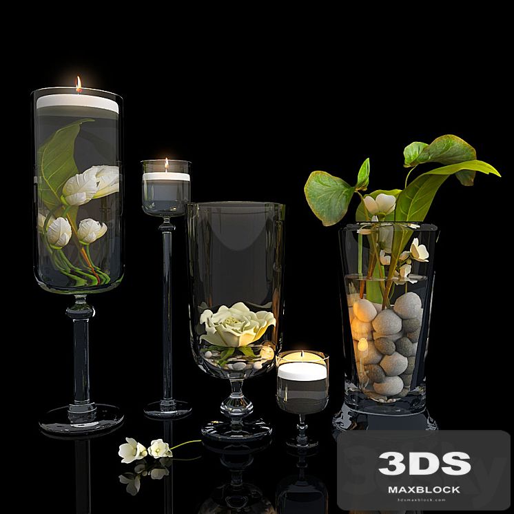 Plants in glass vases