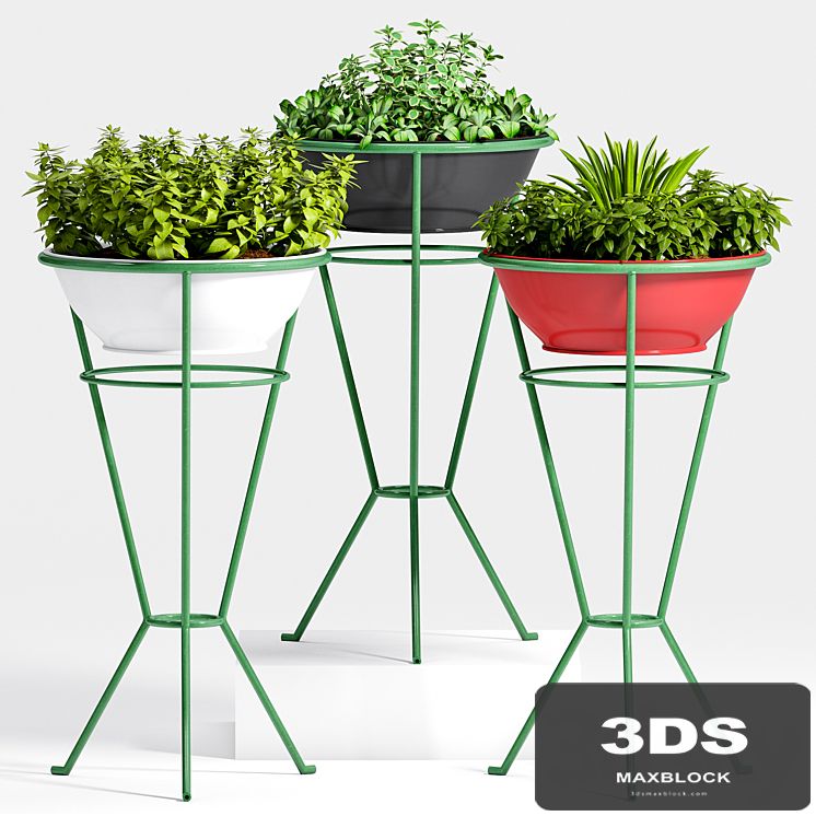 PLANT -27