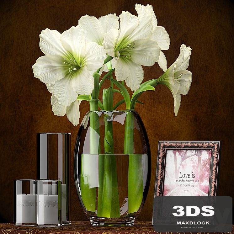 LIGHT YELLOW AMARYLLIS