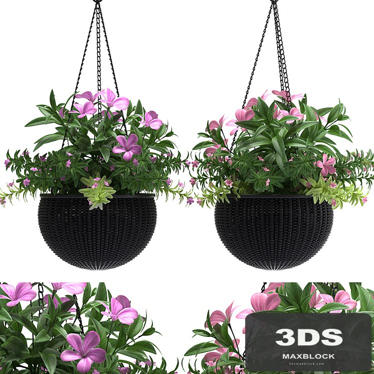 HANGING BASKET