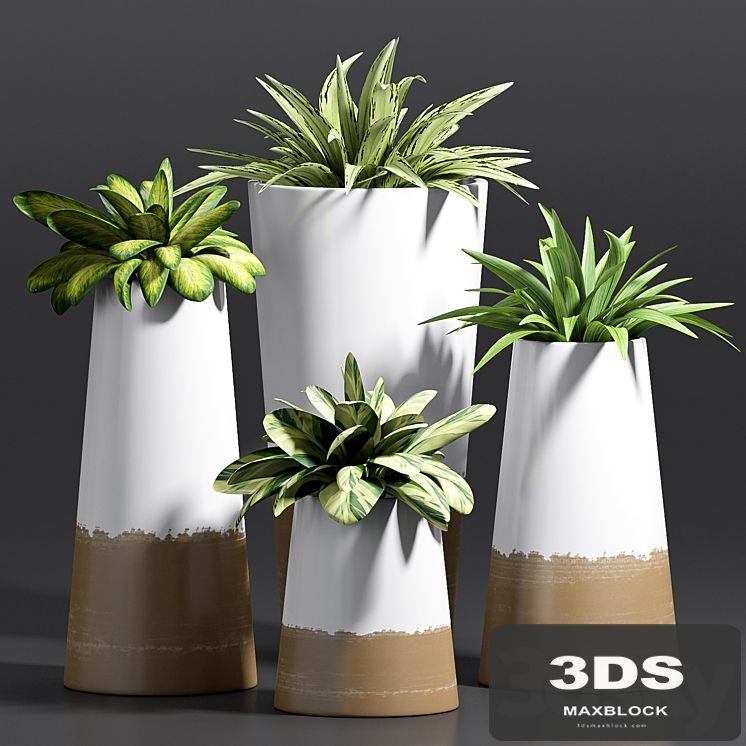 PLANT -28
