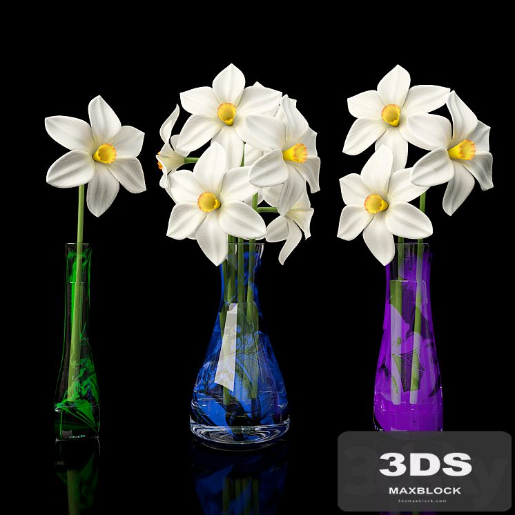 Daffodils
