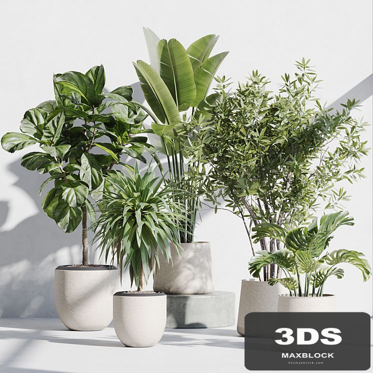 indoor plant set 66