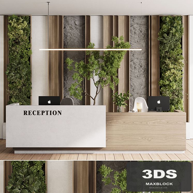 Reception Desk and Wall decor - office furniture 22 corona