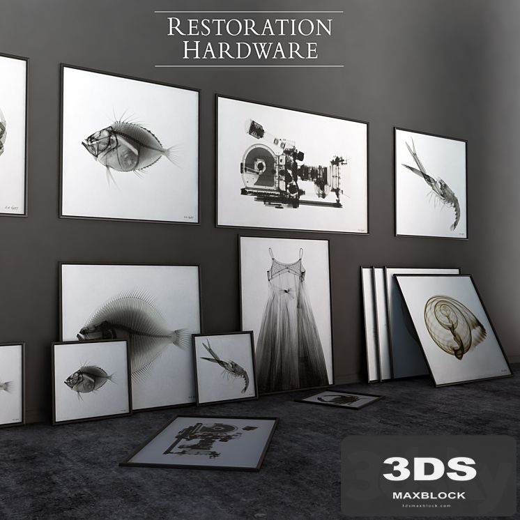 RH Nick Veasey X-RAY photography set