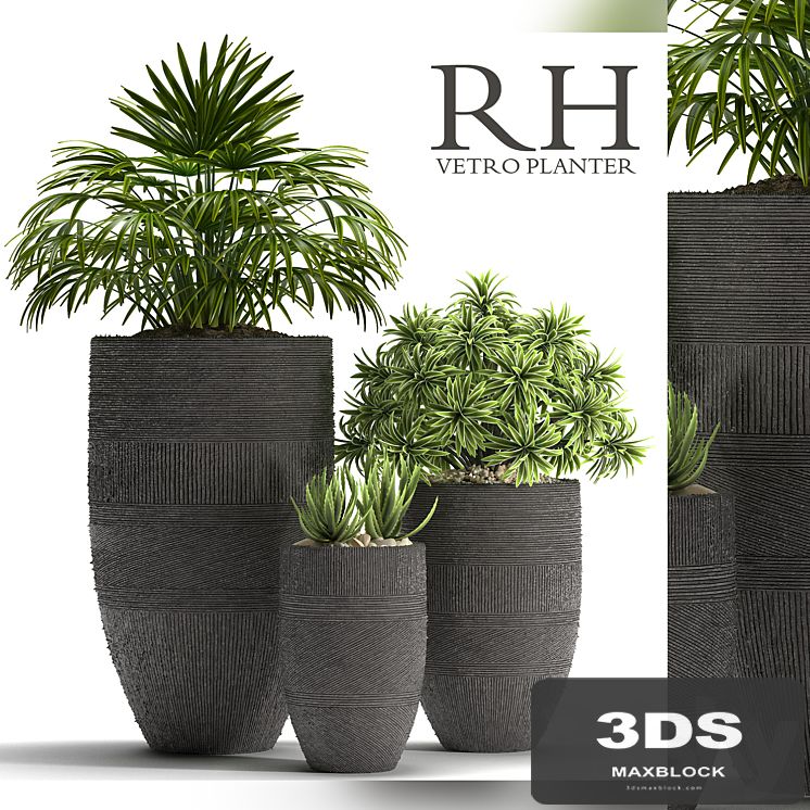 PLANTS 42