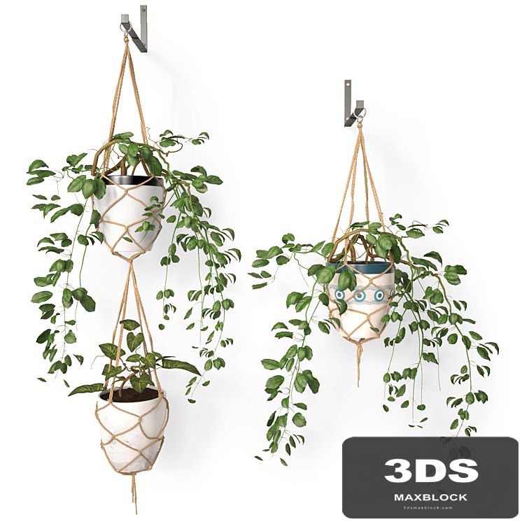 Hanging pots