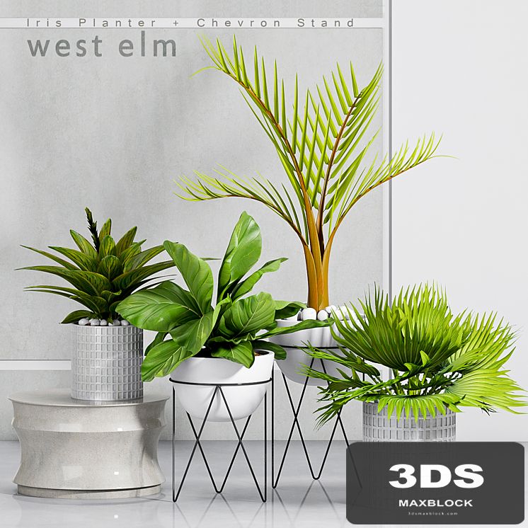 PLANT -30