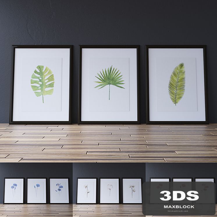 The collection of 12 paintings