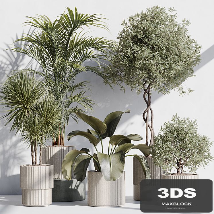 indoor plant set 71