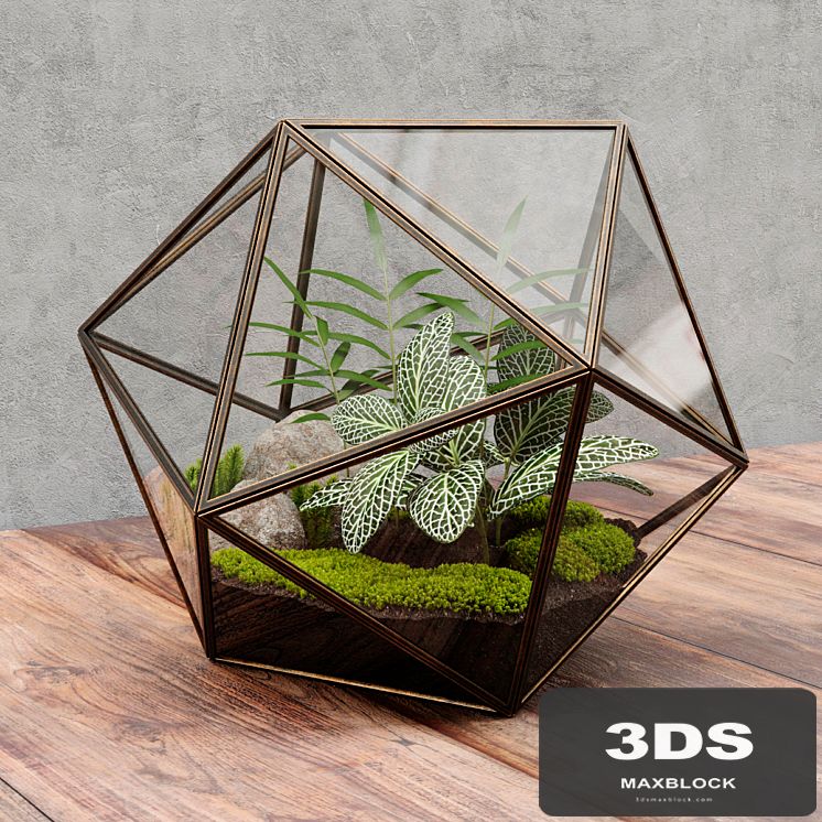 Florarium icosahedron