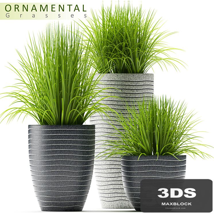 PLANTS 46