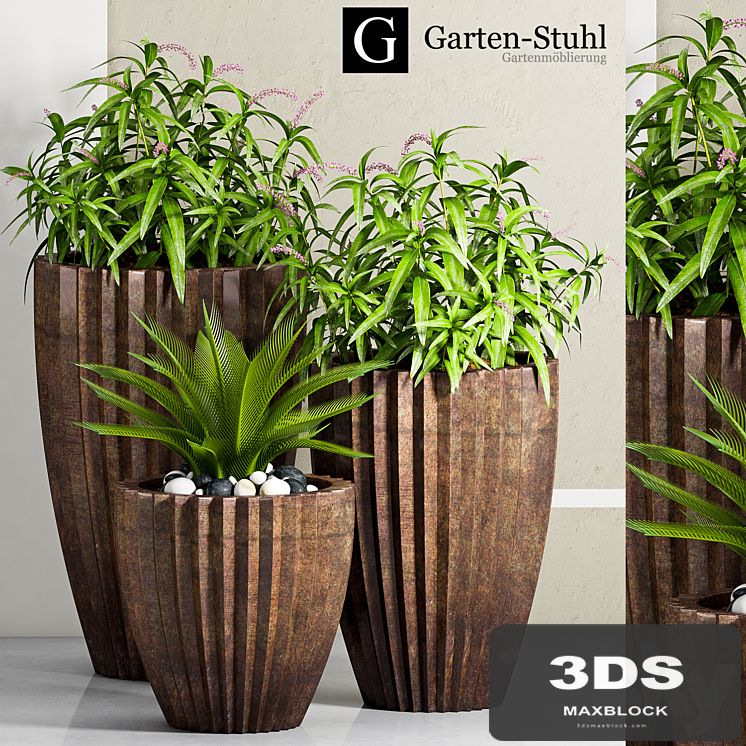 PLANT -32