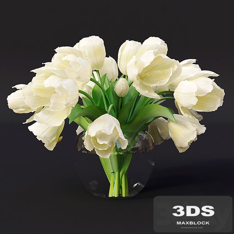 Tulips 7