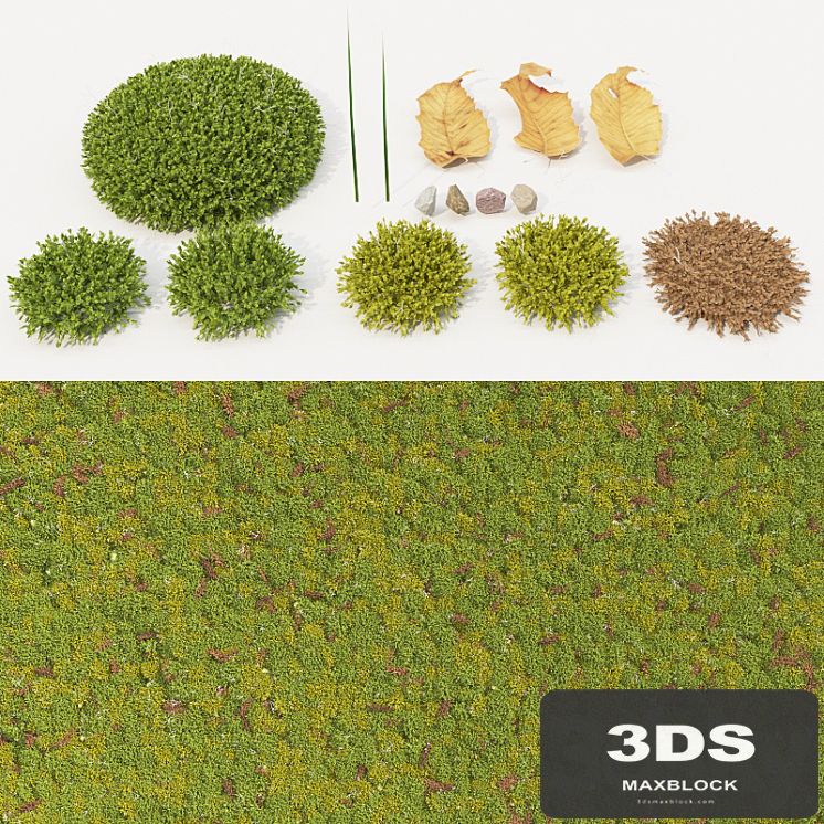 moss_collection
