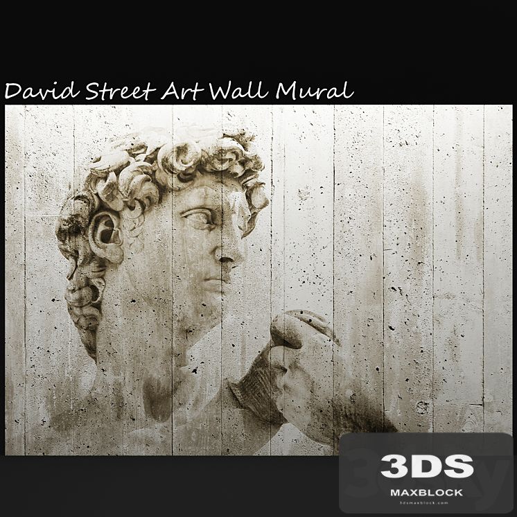 David Street Art Wall Mural, david, mural, painting, concrete, wall