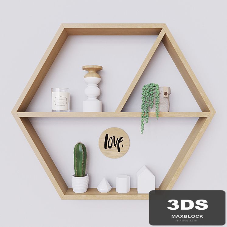 Decorative set with plants on the shelf