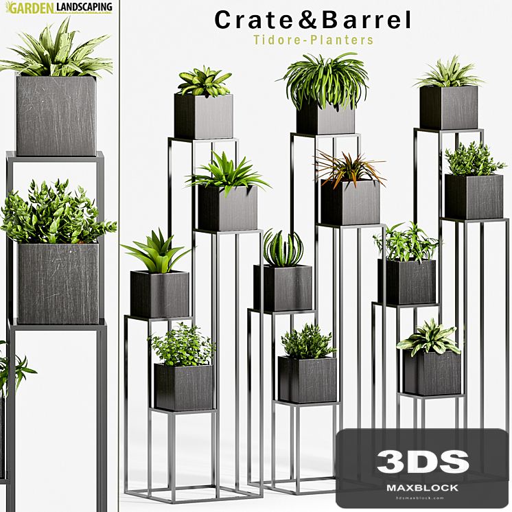 PLANT -33