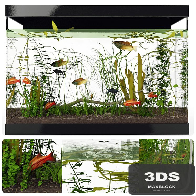 Aquarium